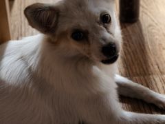 -小六农家乐(崇明西沙湿地店)