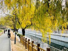 -元大都城垣遗址公园