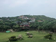 -杨梅坑