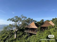 -亚龙湾热带天堂森林公园