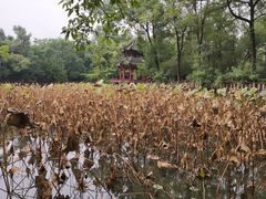 -房湖公园