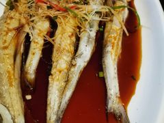 豆腐鱼-黄寺蒸汽海鲜(黄寺大街店)