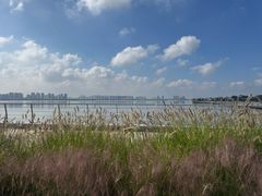 -养马岛旅游度假区