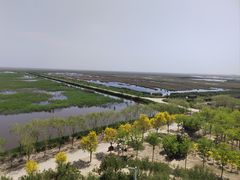 -南大港湿地风景区