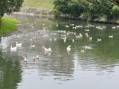 -菊园百果园