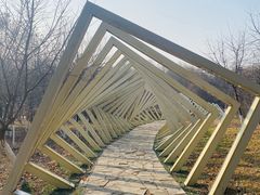 -莫子山公园