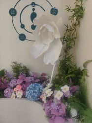 -头道汤头疗养生馆