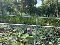 -中国杭州低碳科技馆