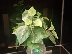 -德全心悦酒店(北京金台路地铁站店)