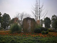 -白鹭湾湿地公园