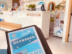 -丹景宠物医院·全科·老年病·牙科(武昌诊疗中心)