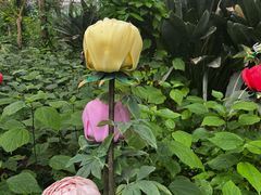 -南宫五洲植物乐园