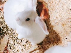 -上海大自然野生昆虫馆