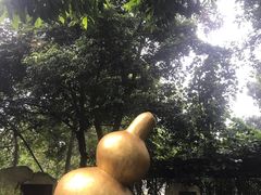 -广西壮族自治区药用植物园
