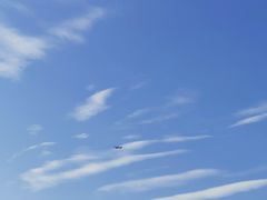 -府河摄影公园