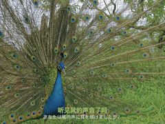 -秀丽东方