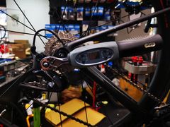 -TREK崔克自行车(徐汇滨江店)