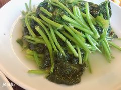 -双塔老饭店