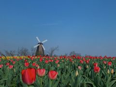 -漩门湾国家湿地公园