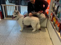 -宠物家(角门东店)