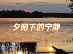 -丁香湖公园