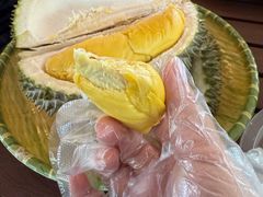 -榴莲BB 四季果园