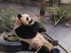 -上海野生动物园