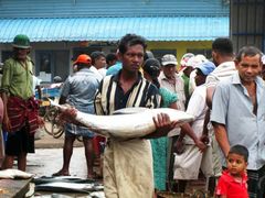 -尼甘布海鲜市场