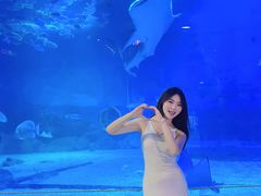 -烟台海昌鲸鲨海洋公园