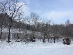 -雪谷