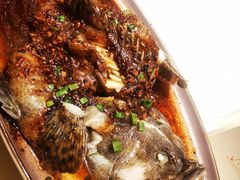 豉汁蒸多宝鱼-八府香鸭·啫啫煲(华山路店)