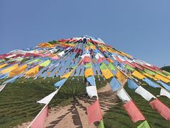 -日月山景区