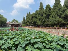 -保定市动物园