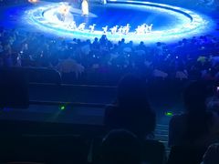 -珠海横琴长隆《卡卡虎奇遇记》