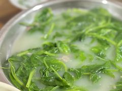 -刘记古镇羊肉汤