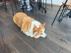 -肥朵食堂(带梦胡同店)