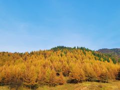 -丰都鬼城名山景区