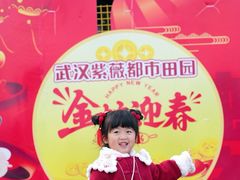 -武汉紫薇都市田园