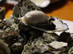 白灼生蚝-南蚝小贝海鲜特色餐厅(南澳岛店)