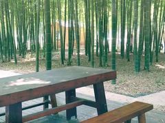 -龙寺生态园