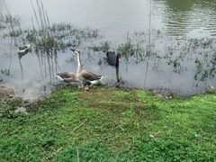 -艾溪湖湿地公园