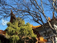 -大理文庙(大理古城)