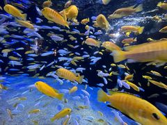 -成都浩海立方海洋公园