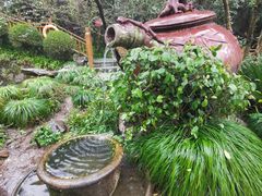 -十八棵（老龙井）御茶园(老龙井店)