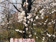 -大围山国家森林公园