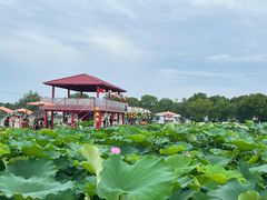 -嘉北郊野公园