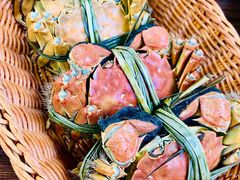 -蟹村草堂·苏式园林人文农家·大闸蟹