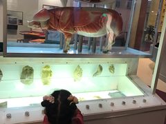 -香港科学馆