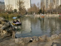 游乐设施-西苑公园
