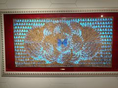 -上海昆虫博物馆